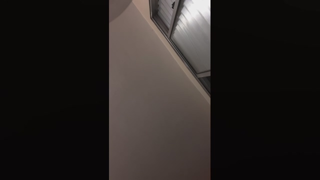 Vinnyferr  23-03-2022